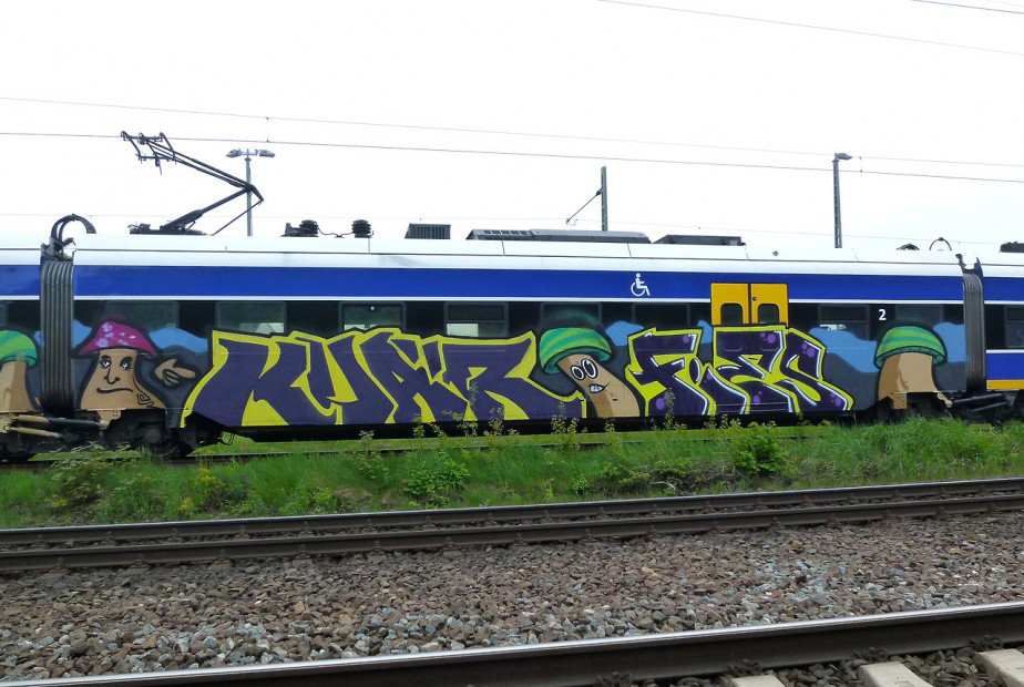 Graffiti Train in bremen - Photo by Bigchill - swk (2013)
