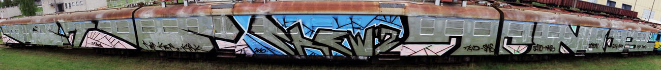 Graffiti Train - Photo by Bigchill - btc, tnb