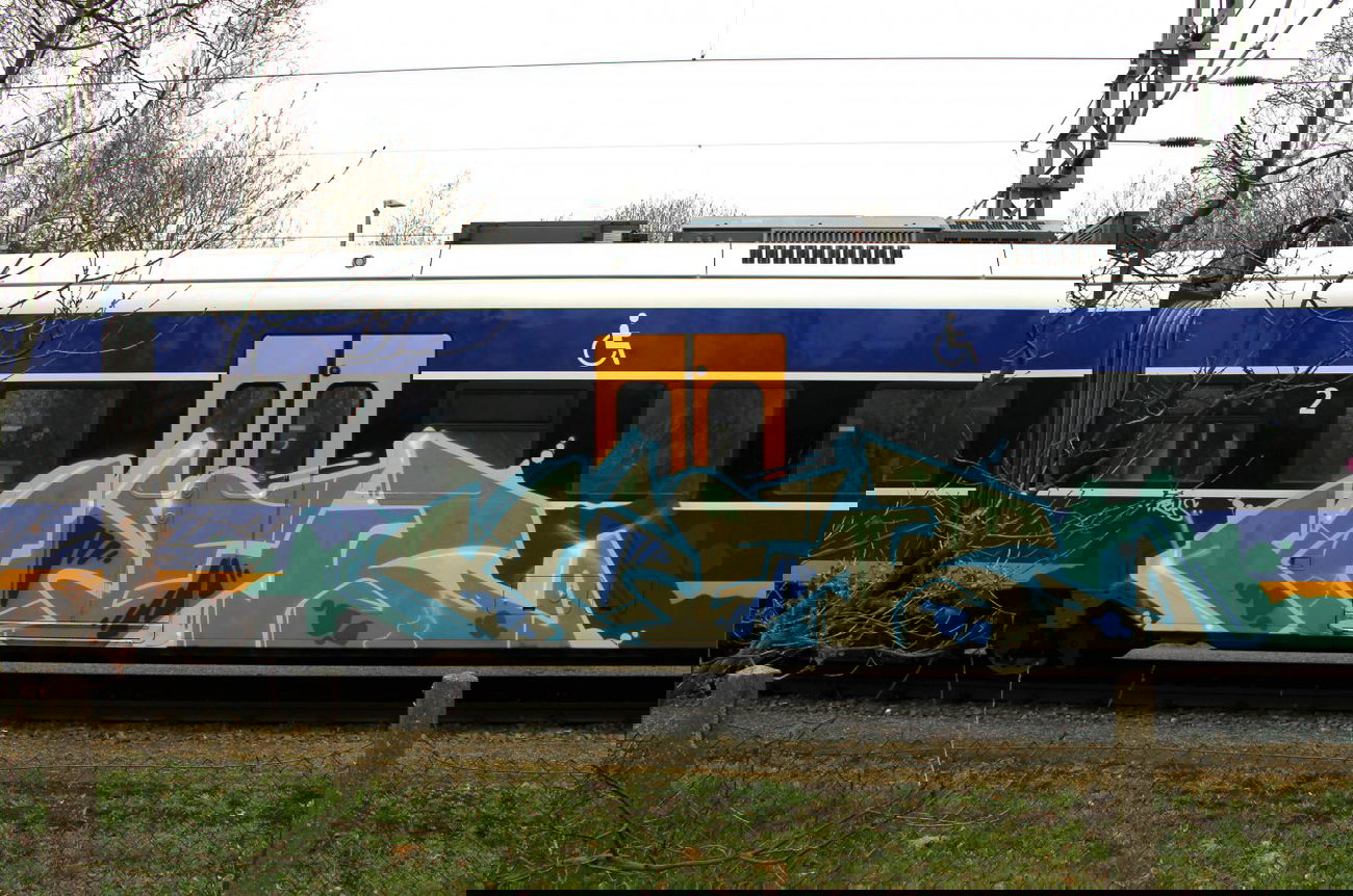Graffiti Train - Photo by Bigchill - niek (2014)