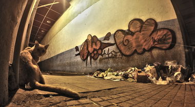 Graffiti Bombing in Rabat - Photo by Bil - bil, morocco, graffiti