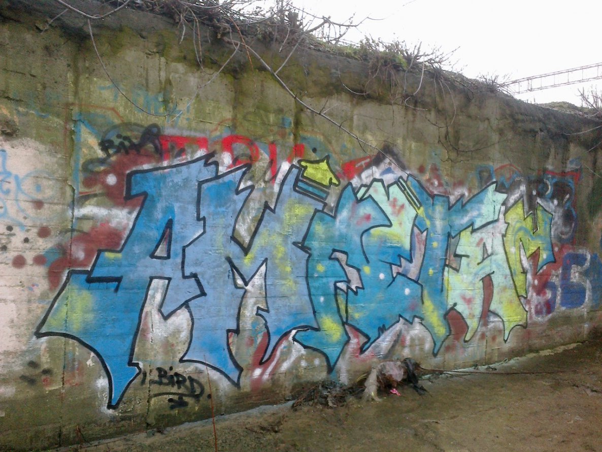 Graffiti Wall in Kyiv - Photo by Bird - Bird. (2014)
