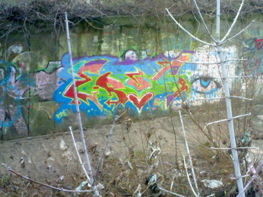 Graffiti Wall in Kyiv - Photo by Bird - Bird (2013)