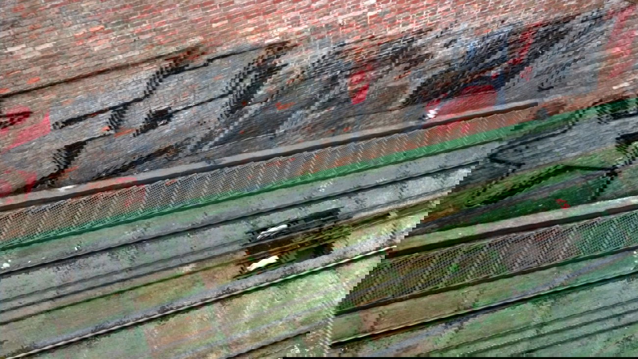 Graffiti Bombing - Photo by Bitumen - FC, Prague