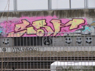 Graffiti Bombing - Photo by BlackMamba - SRF, Trainline, Sternschanze (2014)