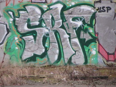 Graffiti Bombing - Photo by BlackMamba - SRF, Relok, Trainline (2015)