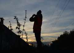 Photo #175319 by AGON