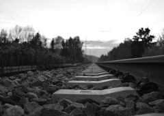 Photo #175320 by TagHagel