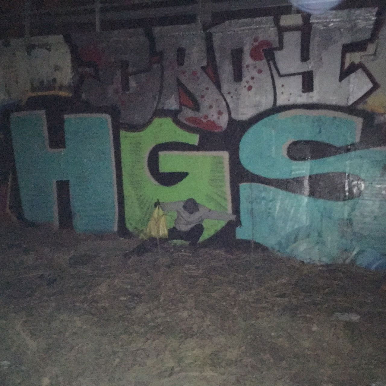 Graffiti Bombing - Photo by Bloede1 - Hgs, duk (2018)