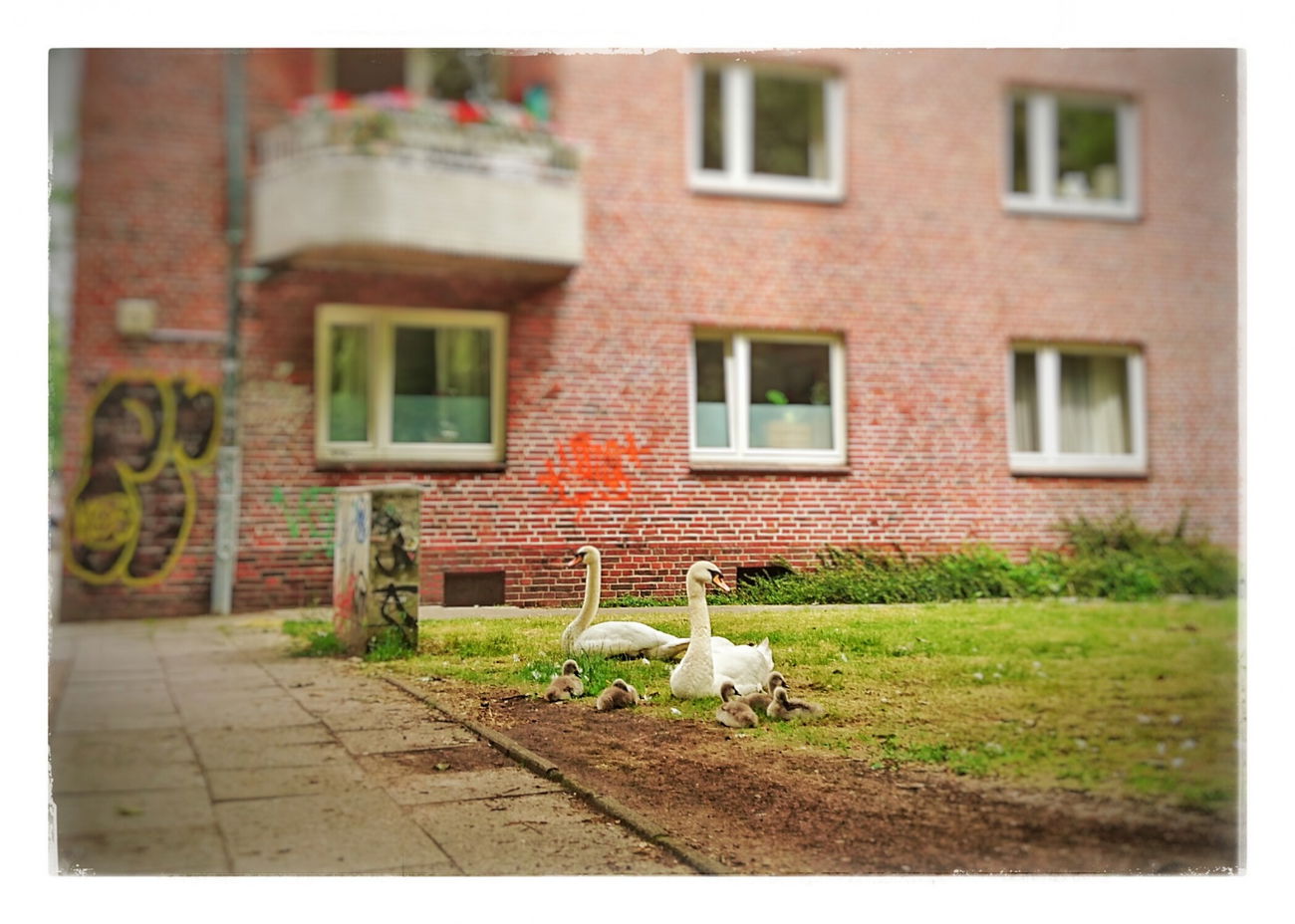 Graffiti Artwork in Hamburg - Photo by BobBockwurst (2016)