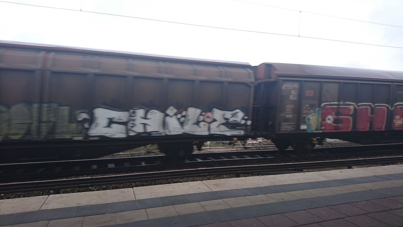 Graffiti Train in Hamburg  - Photo by BobBockwurst (2017)