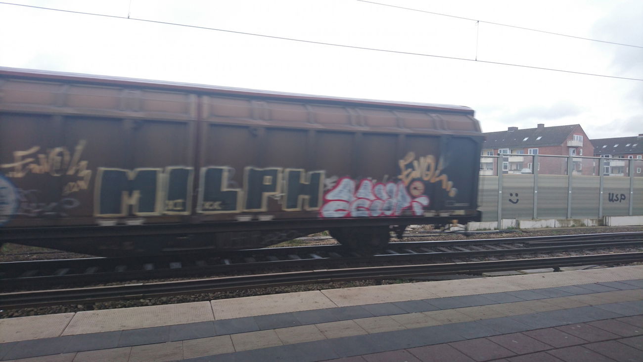 Graffiti Train in Hamburg  - Photo by BobBockwurst (2017)