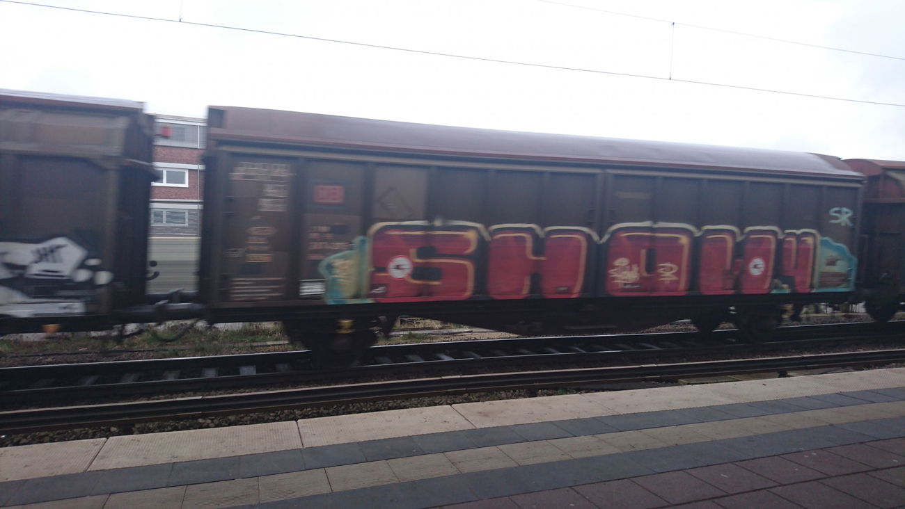 Graffiti Train in Hamburg  - Photo by BobBockwurst (2017)