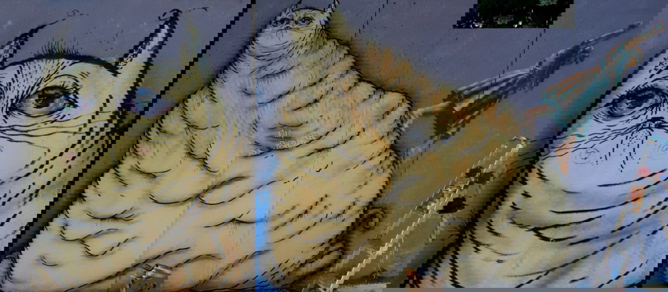 Graffiti Wall - Photo by Boerg (2014)