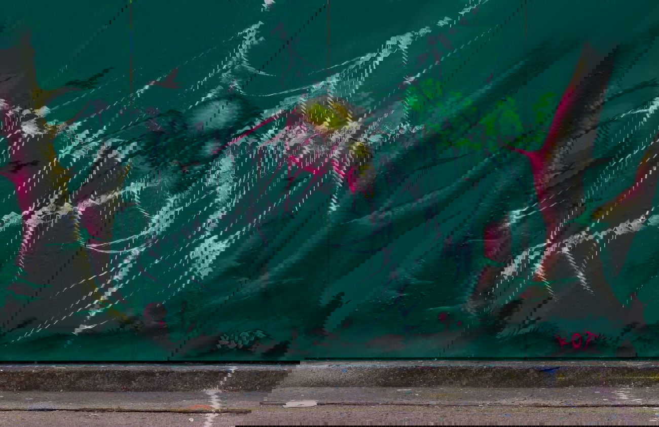 Graffiti Wall - Photo by Boerg (2015)