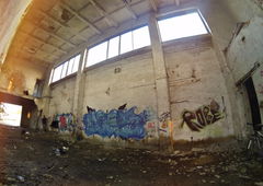 Photo #40450 by Mustard42