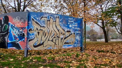 Most Active Members of November 2024