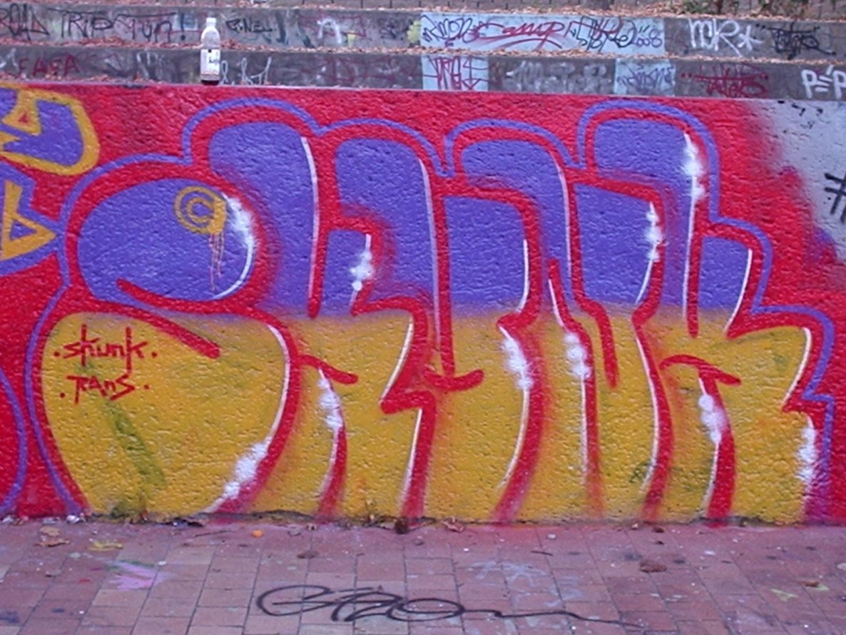 Graffiti Bombing - Photo by BomBingForever