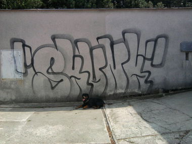 Graffiti Wall - Photo by BomBingForever