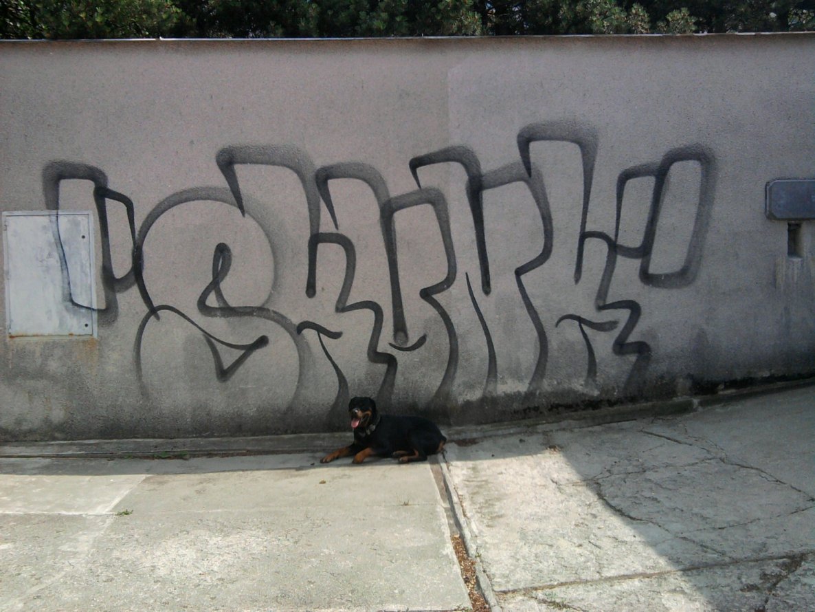 Graffiti Wall - Photo by BomBingForever