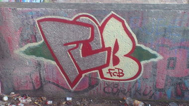 Graffiti Bombing - Photo by BomBingForever