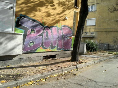 Graffiti Bombing in Dobrich - Photo by Bonez - Bone, Dobrich, Graffiti (2013)