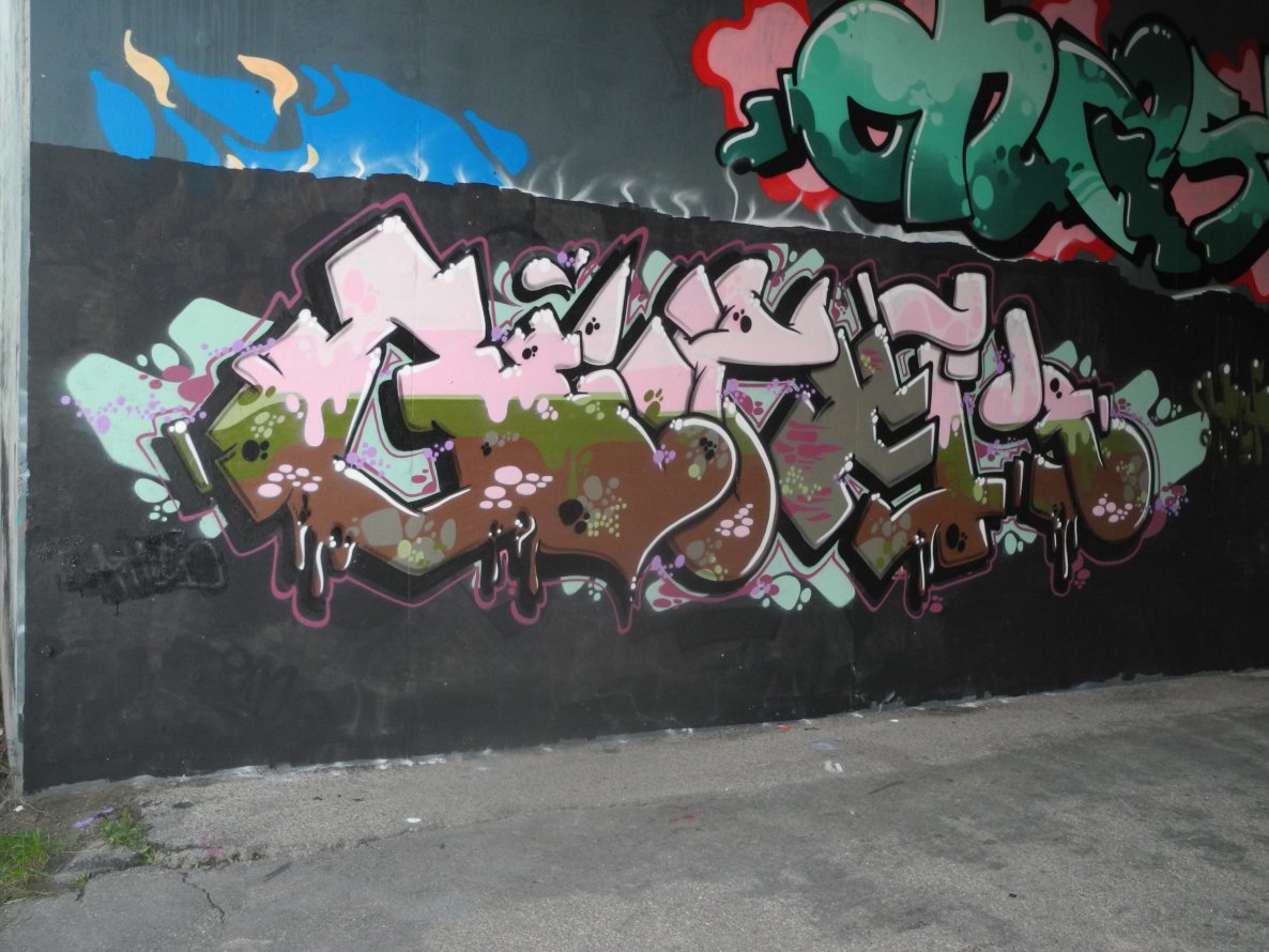 Graffiti Wall in Dordrecht - Photo by Bosniak (2013)