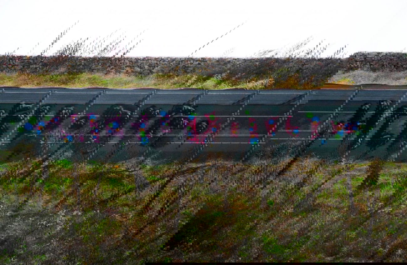 Graffiti Wall - Photo by Bosniak (2013)