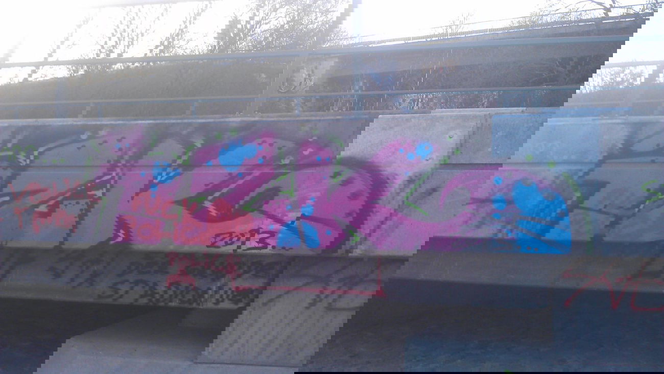 Graffiti Wall - Photo by Brain - IZK, UF, Ultras (2013)