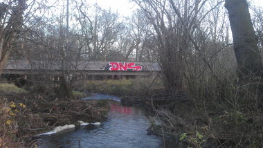 Graffiti Wall - Photo by Brain (2013)