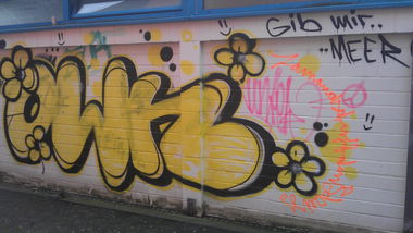 Graffiti Bombing - Photo by Brain - OWN, gib, mir