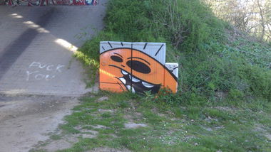 Graffiti Wall - Photo by Brain - city, spot, rmc