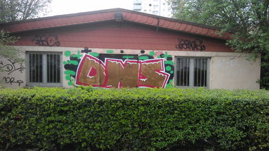 Graffiti Bombing - Photo by Brain - DNS, Daltons, Frankfurt