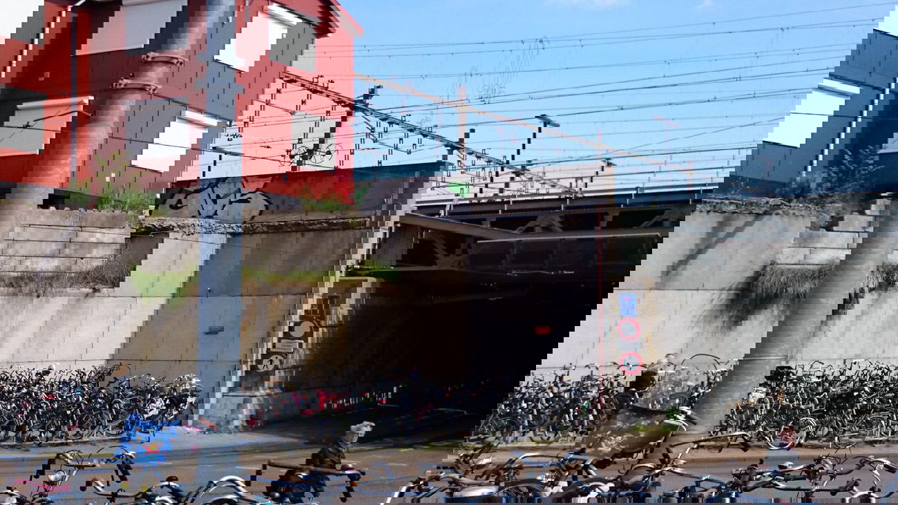 Graffiti Bombing - Photo by Brain - GOS