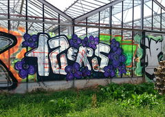 Photo #102252 by 14frantastic