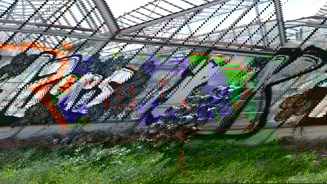 Graffiti Wall - Photo by Brain - 12, 12ers, ir