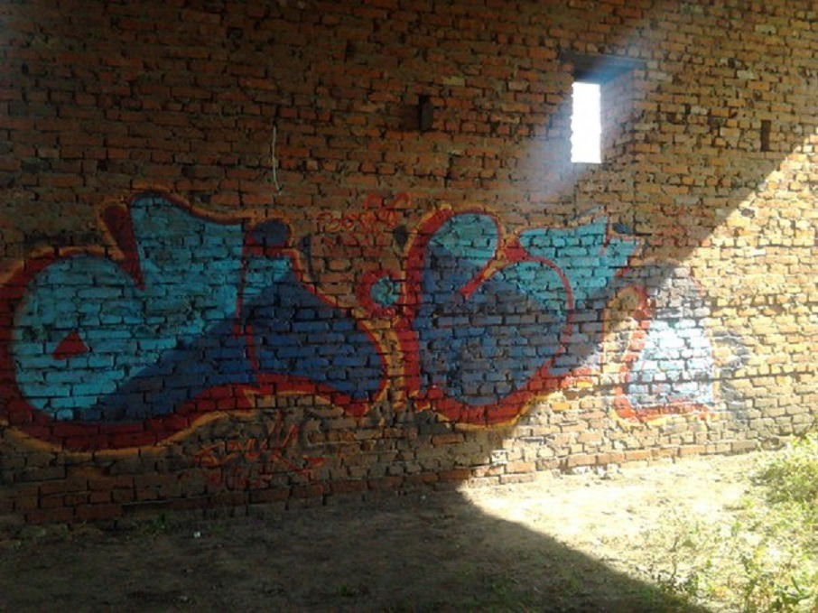 Graffiti Bombing - Photo by Bread - Dick, Gore, Bread