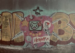 Photo #251518 by iobe1