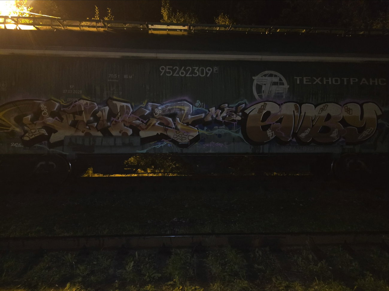Graffiti Train - Photo by BugZBuNNy - themiscrew (2026)