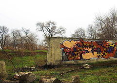 Photo #125196 by Homs