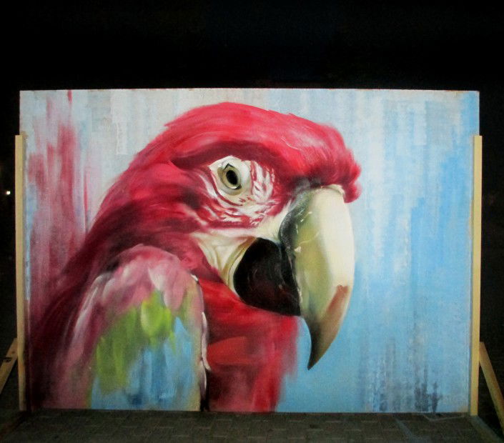 Graffiti Artwork - Photo by Bunt (2013)