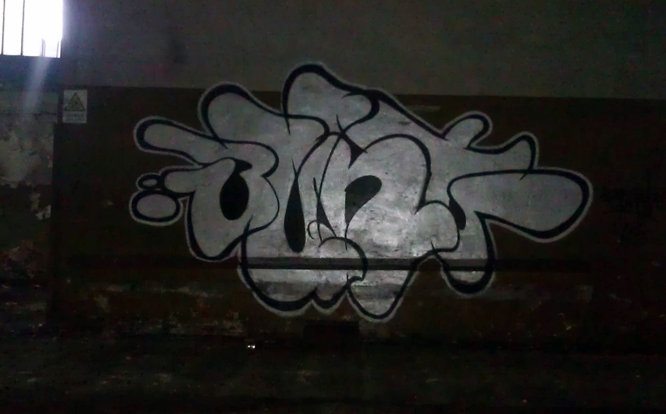 Graffiti Bombing - Photo by BuntOne (2015)