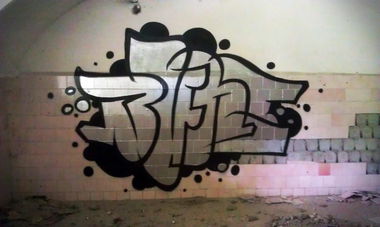 Graffiti Bombing - Photo by BuntOne (2015)