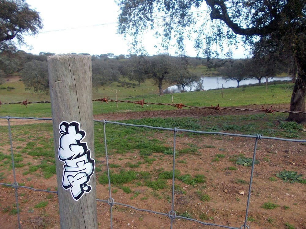 Graffiti Street Art - Photo by BuntOne (2013)