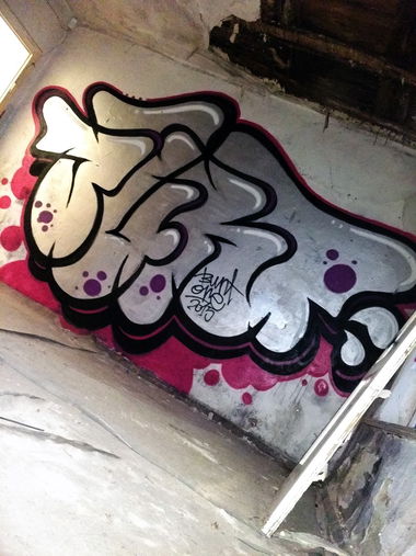 Graffiti Bombing - Photo by BuntOne (2015)