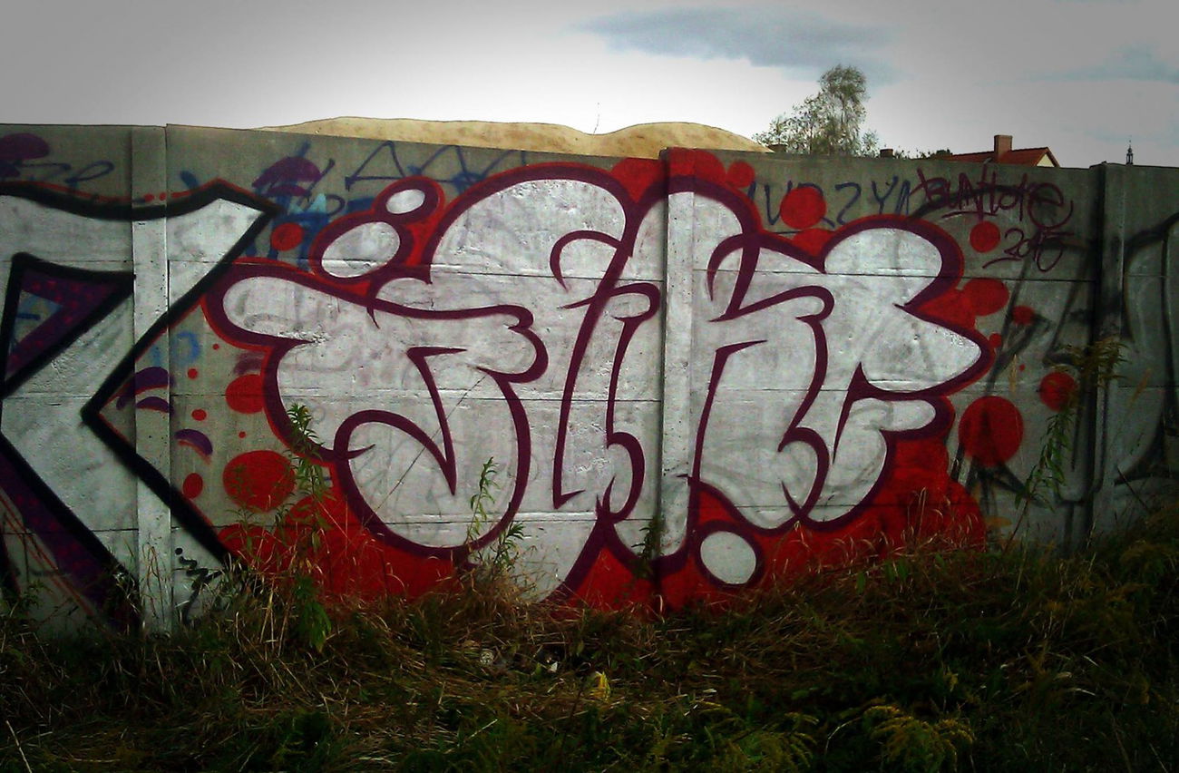 Graffiti Bombing - Photo by BuntOne (2015)