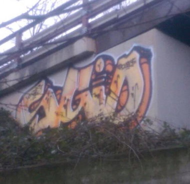 Graffiti Bombing - Photo by Bunteropa - SGIO (2015)