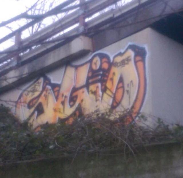 Graffiti Bombing - Photo by Bunteropa - SGIO (2015)