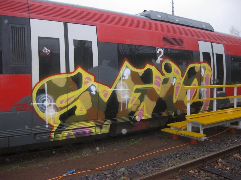 Graffiti Train - Photo by Bunteropa - SGIO (2015)