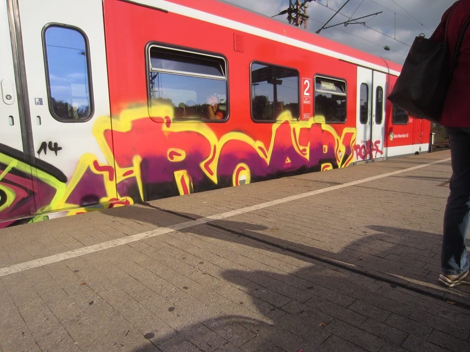 Graffiti Train - Photo by Bunteropa - sgioroar (2014)