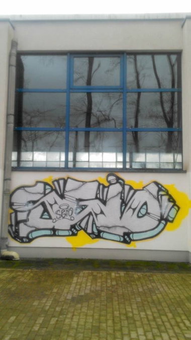Graffiti Bombing - Photo by Bunteropa - SGIO (2015)